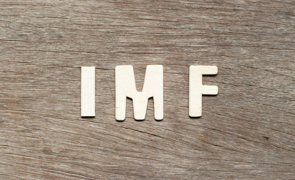 [동향세미나] 중남미 20개국, IMF에 금융지원 요청