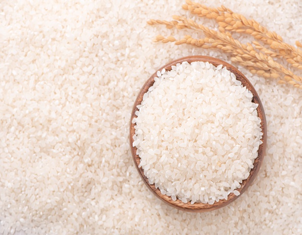[동향세미나] 나이지리아, AfCFTA 비준에도 인접국 쌀 수입 금지 조치 지속