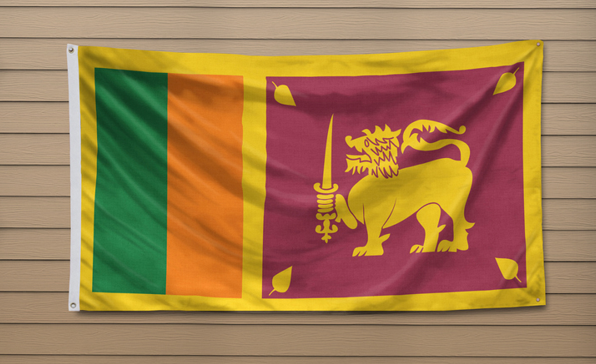 [동향세미나] 스리랑카의 일시적 디폴트 선언 동향 및 전망