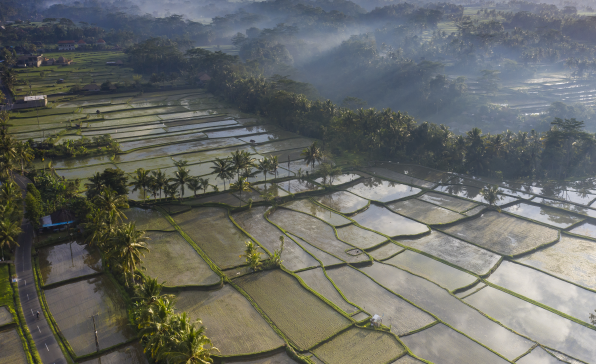 [이슈트렌드] 인도네시아, 해결되지 않는 농지 분쟁으로 인해 많은 피해자 발생