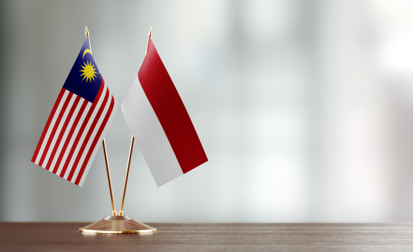 [이슈트렌드] 말레이시아 총리, 인도네시아 대통령과 정상회담... EU의 팜유 규제 및 미얀마 문제 논의