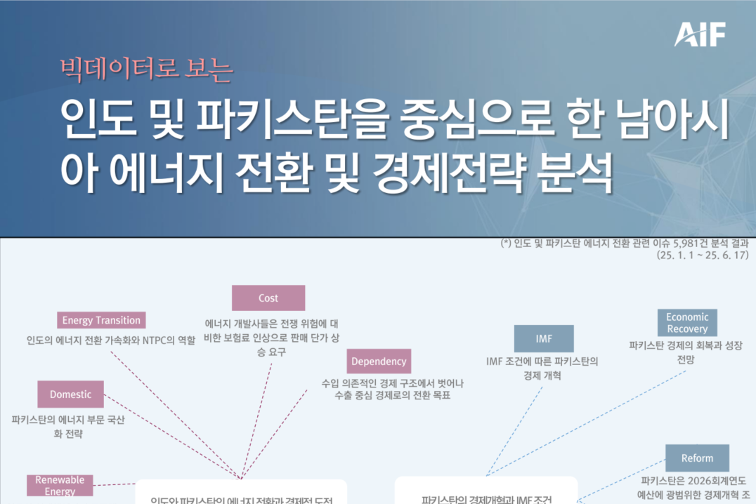 [월간정세변화] 인도 및 파키스탄을 중심으로 한 남아시아 에너지 전환 및 경제전략 분석