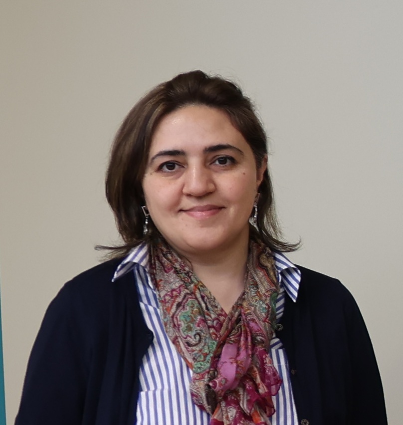 Aynura Ismayilova 사진